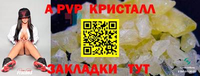 прущие грибы Лесосибирск