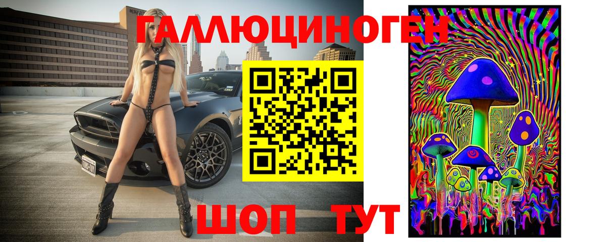 Дзержинский  Псилоцибиновые грибы Magic Shrooms  закладки  Вход с VPN 