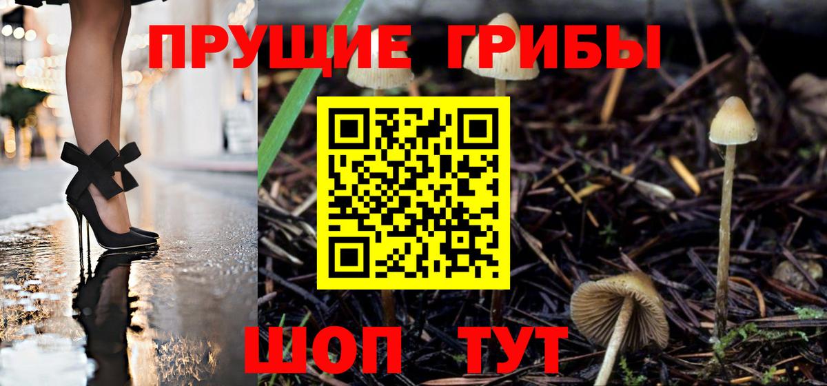 Галлюциногенные грибы мицелий Дзержинский